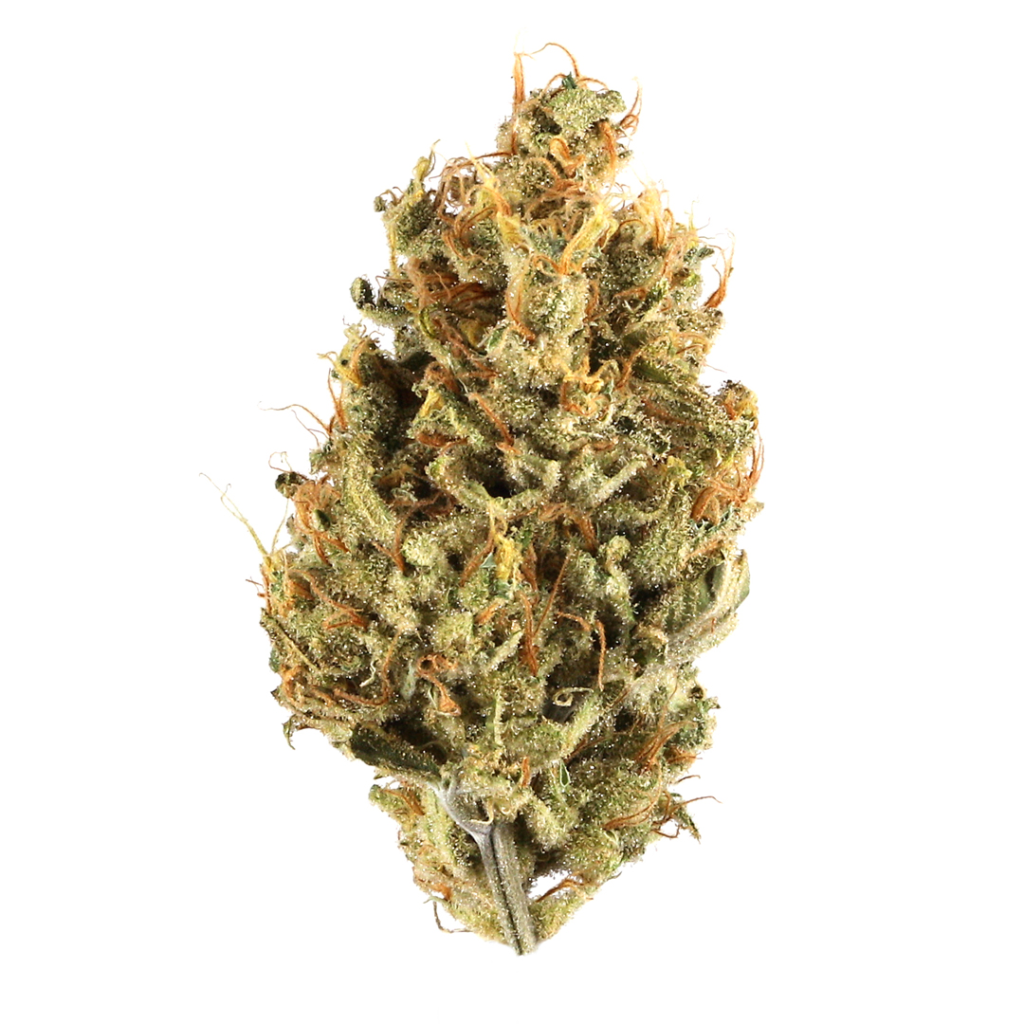 Order Weed Online Riyadh Banana OG Weed Strain