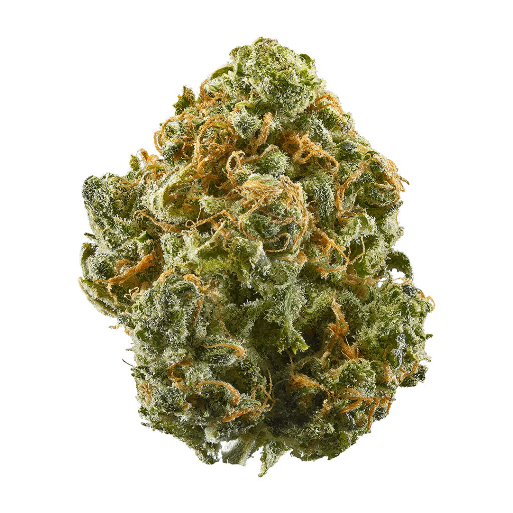 Blue Dream Weed Strain