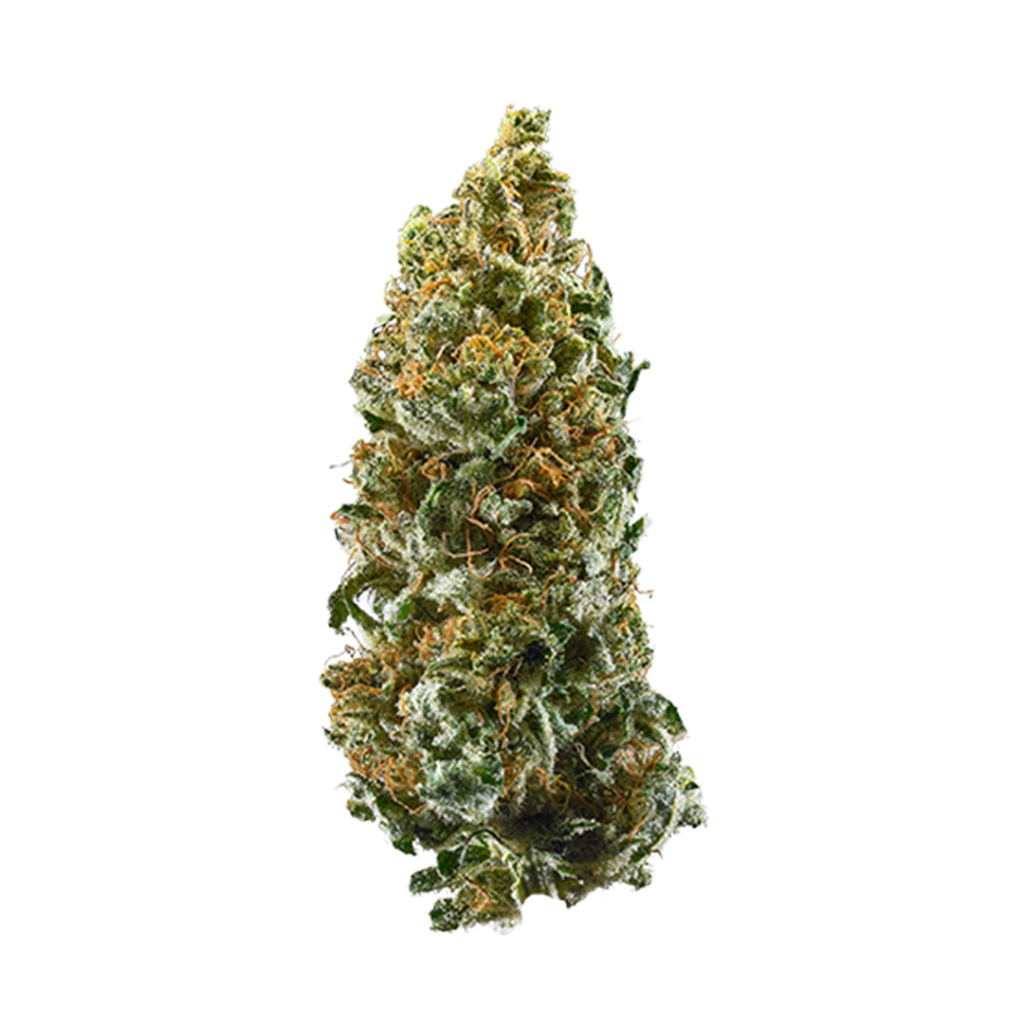 Cannatonic Weed Strain