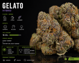 Order Weed Online Riyadh