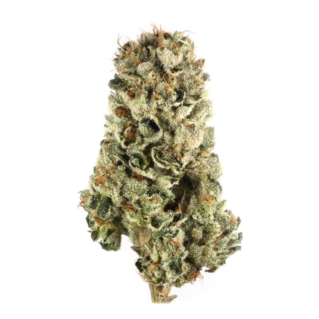 Killer Queen Weed Strain