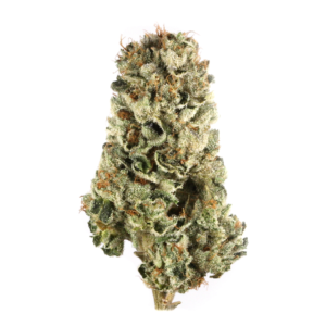 Killer Queen Weed Strain
