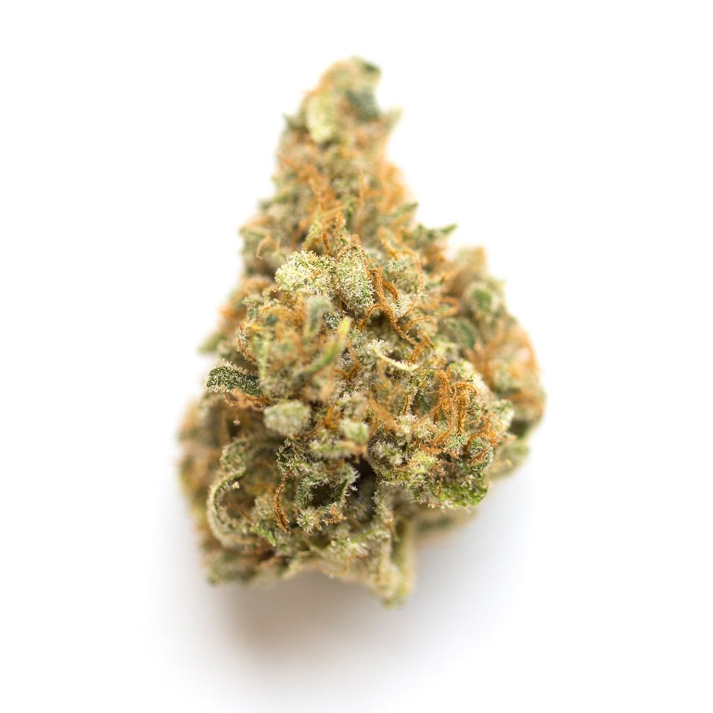 MAC Cannabis Strain