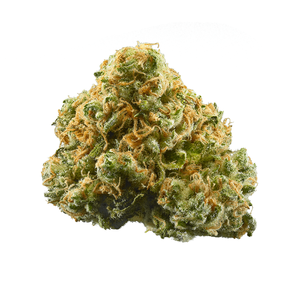 Maple Leaf Indica Weed Strain