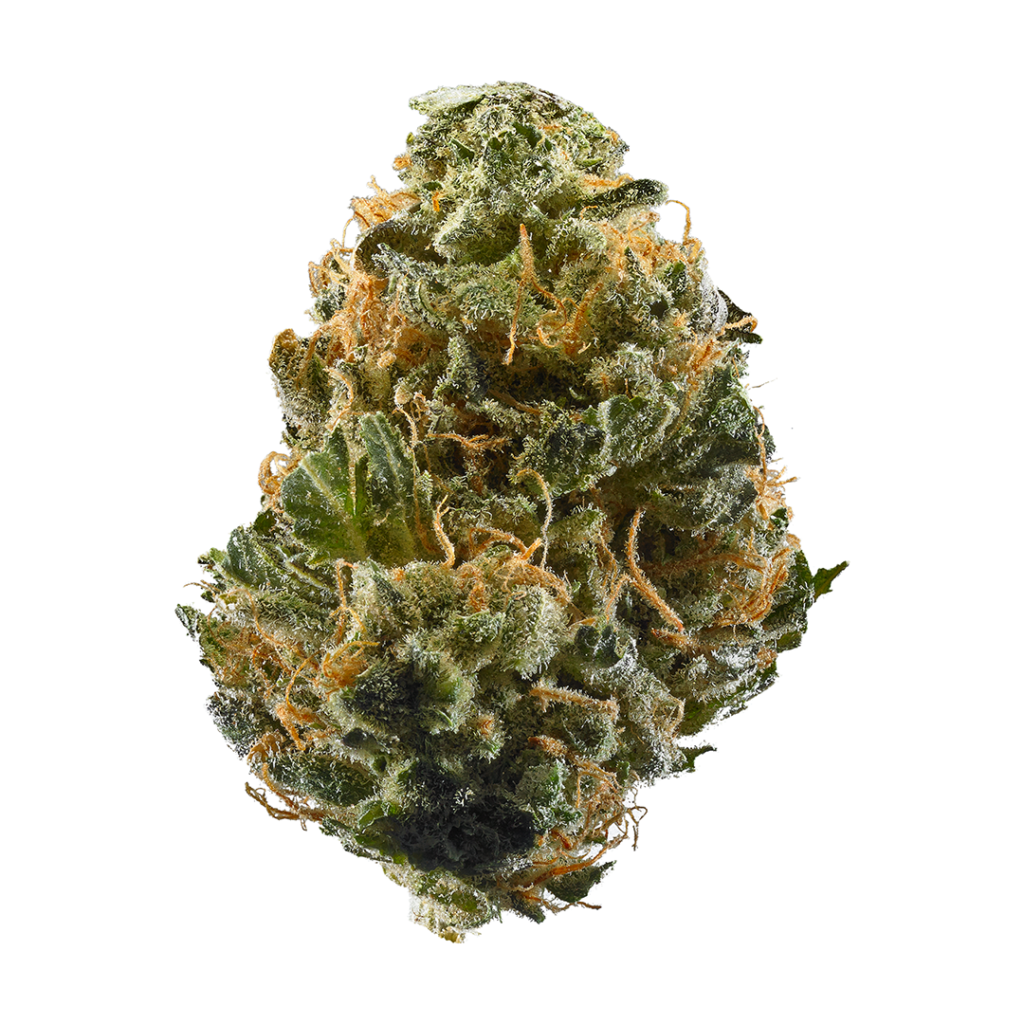Skunk Haze Weed Strain