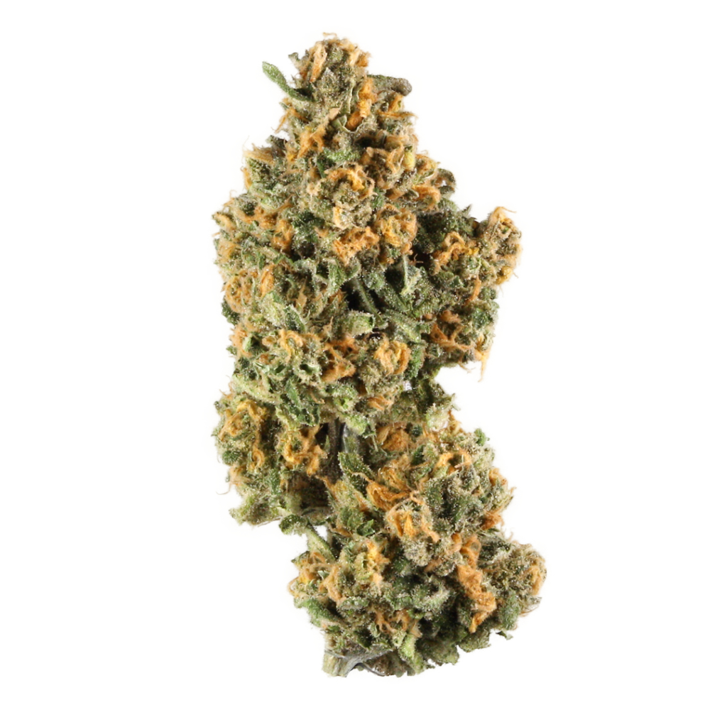 South Asian Indica Weed Strain