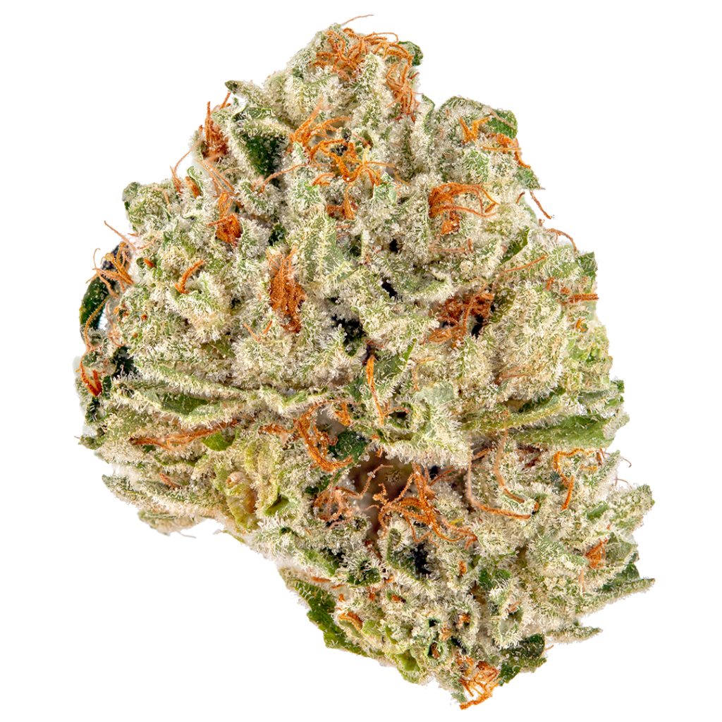 South Indian Indica Weed Strain