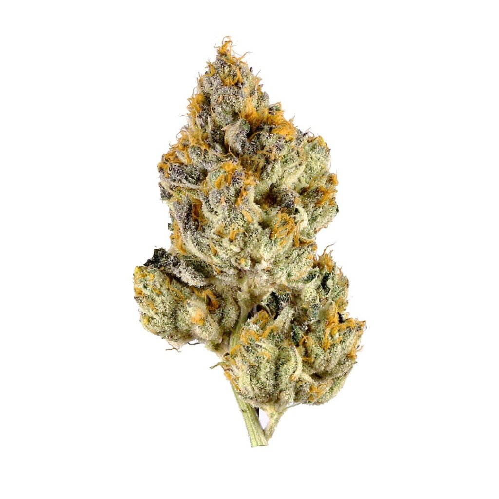 Order Weed Online Riyadh White Tahoe Cookies Weed Strain