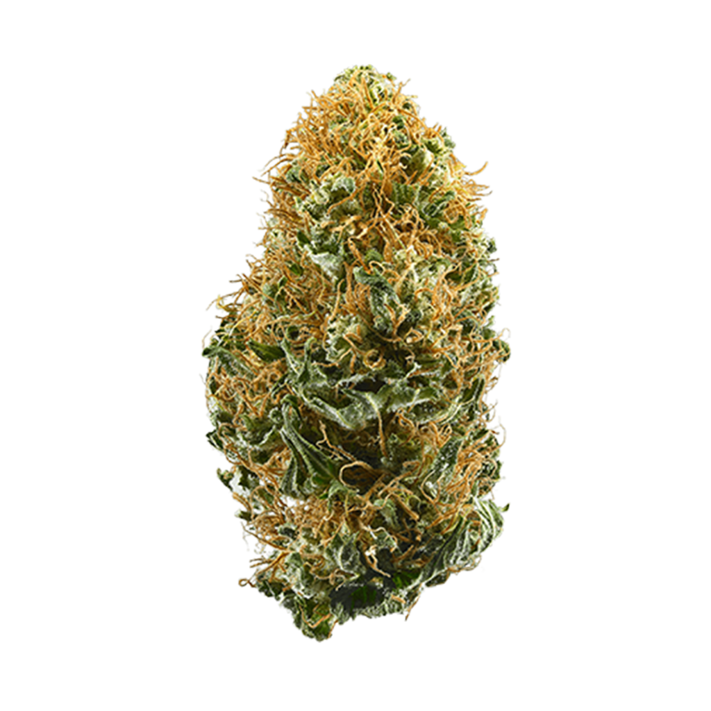 Order Weed Online Riyadh White Widow Cannabis Strain