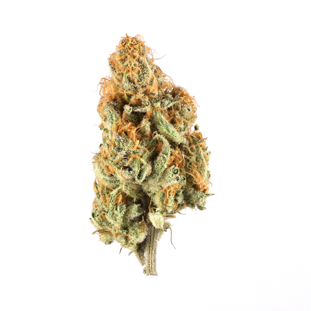 Buy CBD Gummies in Jeddah North American Sativa weed Strain