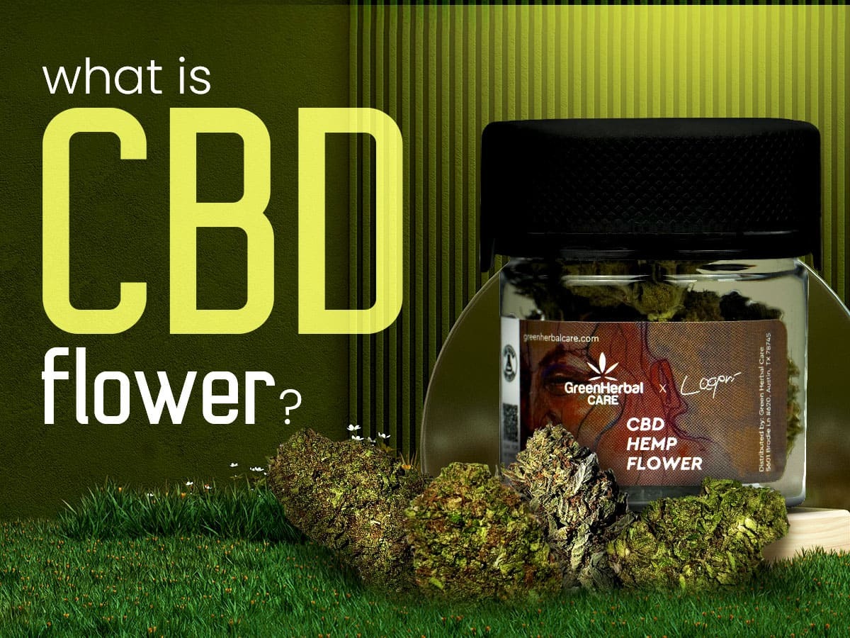 What Is CBD Flower? A Beginner's Guide (And What You Must Know in Saudi Arabia)