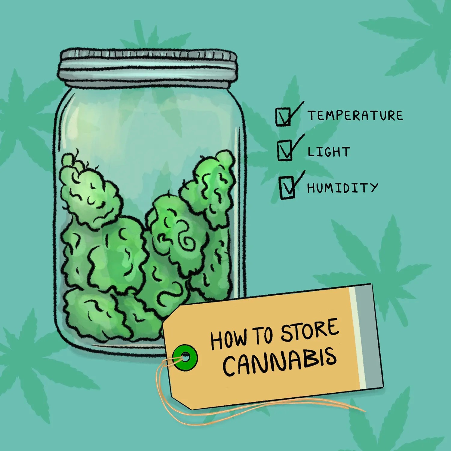 How to Store Cannabis Properly in Saudi Arabia