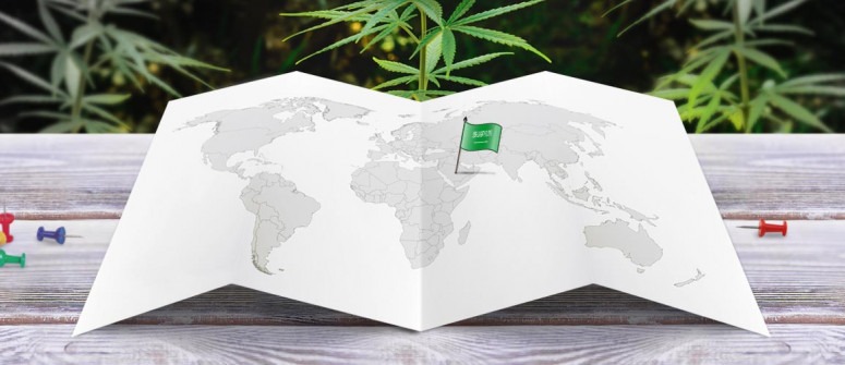 What Does Saudi Law Actually Say About Cannabis and Hemp?